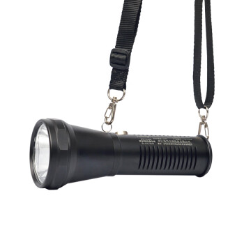 通明电器 TORMIN BW7100B 高射程防爆电筒 LED超亮强光巡检探照灯 10W