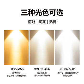 开尔照明（CARE）LED筒灯 3.5寸8W 白光6500K 开孔尺寸100mm国际系列