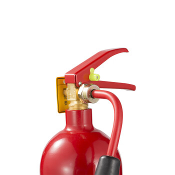欧伦泰 2KG二氧化碳灭火器手提式灭火器干冰机房合金钢消防器材MT/2-I(115) 矮瓶红色
