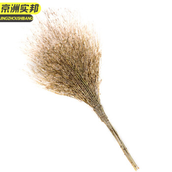 京洲实邦 连体无叶扫把1把装 手工竹扫帚竹笤帚物业大扫把环卫JZSB-9291