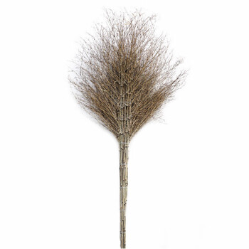 九永盛大扫把竹