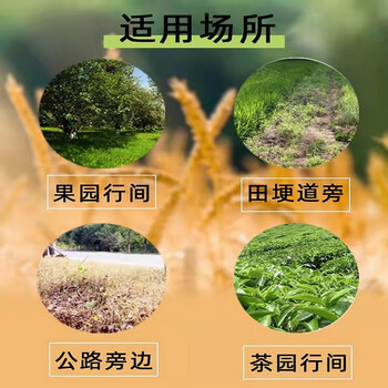 鲸彩蔚蓝 滴酸 草甘膦除草剂 5kg/桶