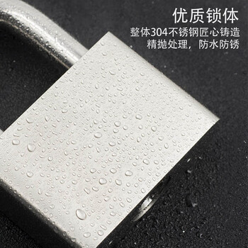 飞尔（FLYER）304不锈钢叶片挂锁 户外防水防锈安全挂锁 柜门防盗工具锁【30mm长梁不通开 带钥匙】