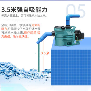 利伟沃 游泳池吸污机 水下吸污泵 水池底泥沙清洁设备 2.0匹泵≤250平 单位：套