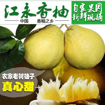 湖南江永香柚沙田柚老树柚子永州特产胜广西容县新鲜密柚20斤小果3个