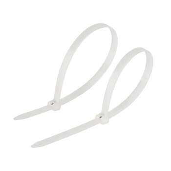 飞尔（FLYER）船用扎带 金属嵌片钢牙扎带 钢扣塑料扎带【白色 3×100mm 200根/包】