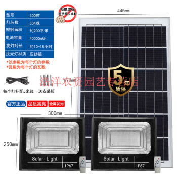 300w太阳能灯户外庭院灯新农村家用室内照明一拖二亮solarlight 高亮