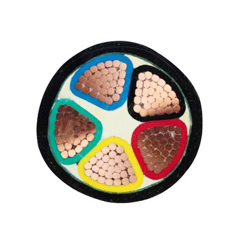 天环 YJV-0.6/1KV-5*6 低压铜芯电力电缆 1米 交期15天