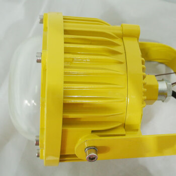 奇辰（QICHEN）LED防爆巷道灯 40W 白光 QC-FB001-A-V