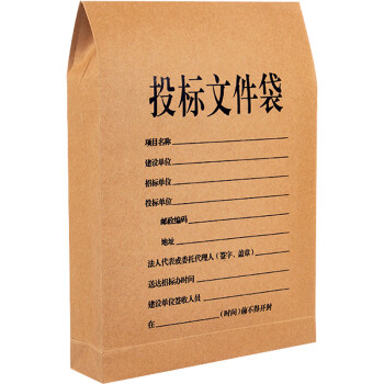 飞尔（FLYER）牛皮纸档案袋 标书合同文件资料袋【260g投标袋6cm 24x34cm】100个装