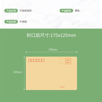 飞尔（FLYER）牛皮纸信封信纸 邮局信工资袋增值税发票专用信封袋【黄色 175x125mm】1000个装