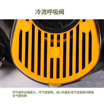 普达 自吸过滤式防毒面具 MJ-4002呼吸防护全面罩 面具主体(不含管子和过滤罐)