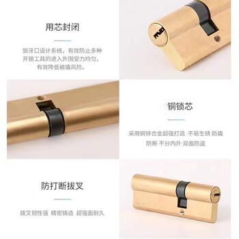 驼铃纵横 AQQJ0053 防盗门锁芯铜AB锁芯铜大门锁芯老式双面防撬铜弹子通用型 90偏32.5-57.5