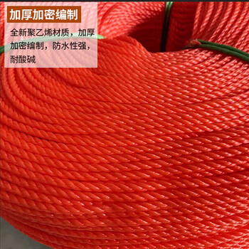 飞尔（FLYER）多功能尼龙绳 捆绑绳 户外搭建高强度韧性扎捆绳【红色 2mm 一卷100米】