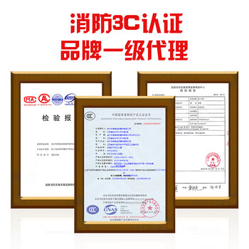 淮海  二氧化碳灭火器2公斤 灭火器 手提式二氧化碳灭火器2KG 机房精密仪器灭火器MT/2