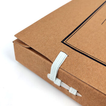 飞尔（FLYER）档案盒 加厚文件资料盒 高质感牛皮纸财务凭证盒 10只装【31x22cm 厚度4cm】