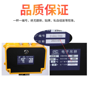 电子吊秤高精度大勾行吊称铜钢材行车秤1T 1吨铝壳 高精度0.1kg
