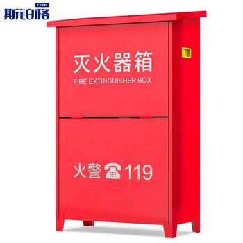 斯铂格 灭火器箱子 3公斤干粉消防箱消火栓箱铁皮箱 厂房店铺商用消防过检新国标年检空箱 3KG*2加厚0.6mm
