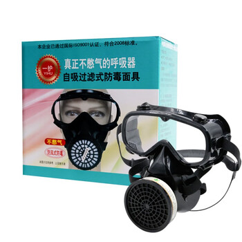 一护 防风式防毒护目套装 防毒防异味防喷溅面具 面罩+P-E-1（CA-2)防酸性气体滤毒盒
