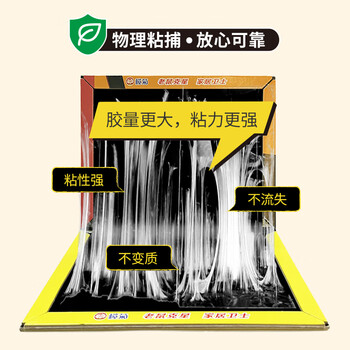 榄菊超强力粘鼠板5片老鼠贴抓老鼠捕鼠胶贴 加厚加黏