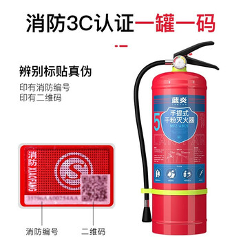 蓝炎 灭火器 5公斤干粉灭火器家商两用消防器材 5kg干粉灭火器2具+灭火器箱组合