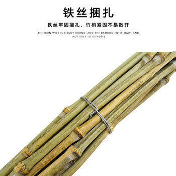 亿丽佳环卫马路物业竹扫把柏油路清扫大笤帚庭院大扫把（脱叶大号高约2米）5把一组