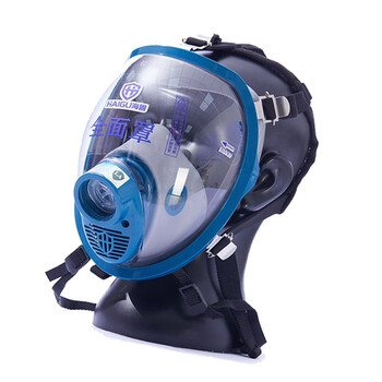 海固（HAI GU） HG-800 硅胶防尘全面具（不含过滤件）颜色随机发货 宝蓝色/灰色 1个