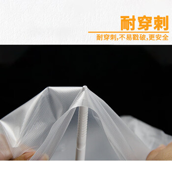 飞尔（FLYER）真空包装袋 压缩袋 封口抽气纹路袋【片袋22x32cm 双面19丝 100片/包】