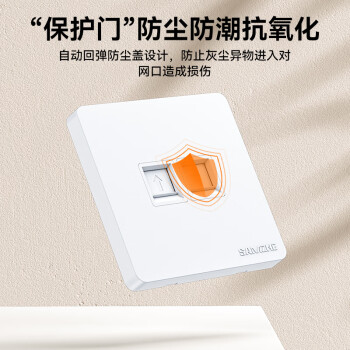 山泽（SAMZHE）电脑插座网线口网络面板 适用电话信息模块 通用超五/六/七类模块加厚86型面板 双口WAN-02