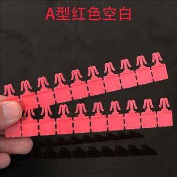 飞尔（FLYER）一次性A型锁片 废钞袋锁扣 可印LOGO 10000个