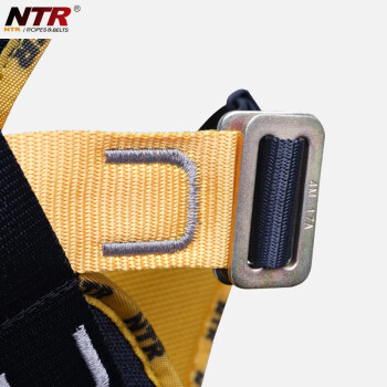 耐特尔NTR BK03款五点式安全带全身式 定位安全带含护腰+KB02双钩缓冲绳 定做 1套