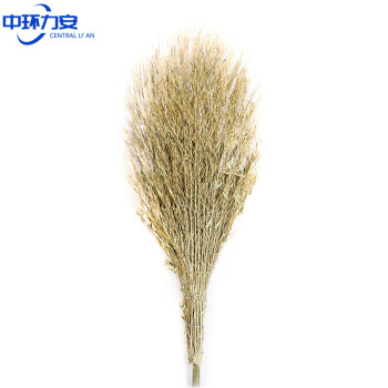 中环力安 竹竿扫把1把装 物业环卫手工大竹笤帚ZHLA-8071
