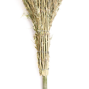庄太太 竹竿扫把1把装 手工竹扫帚户外环卫竹笤帚扫把ZTT-9106
