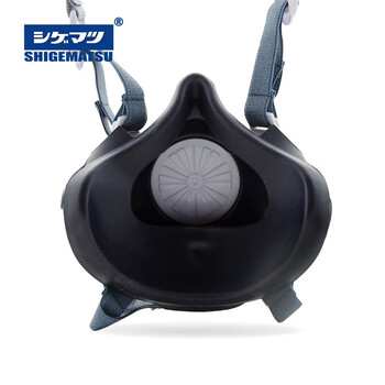 SHIGEMATSU日本重松 TW08SF喷漆套装4件套防尘面罩电焊打磨喷漆配tov滤盒 定做 1套