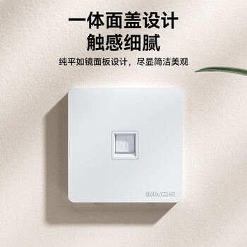 山泽  网络网线口面板  通用超五/六/七类模块加厚86型面板 适用电脑电话信息房间网络插座 单口WAN-01