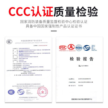 趣行 水基灭火器 车载铝罐灭火器 便携消防器材灭火器家庭办公室用汽车年检 13B新国标绿色550ML