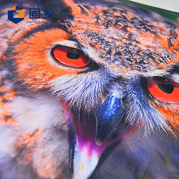 固乡 机场应急驱鸟设备 鹰眼旗驱鸟器 R