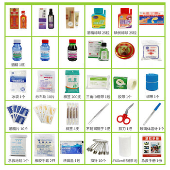 飞尔（FLYER）应急包 应急处理多层急救包【高配套装B8318】