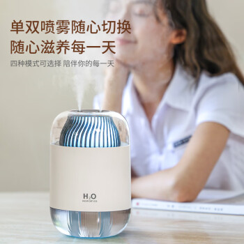 海纳斯（HANASS）加湿器双喷头小型办公室桌面大容量家用低音卧室宿舍充电便携空气加湿喷雾夜灯空调伴侣加湿器D12