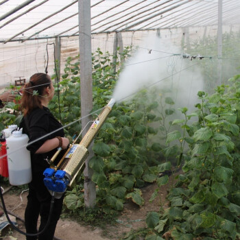 鸣固 脉冲弥雾机高压水雾烟雾两用机便携式汽油打药机 180型304加强款