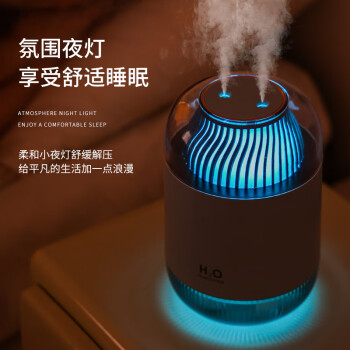 海纳斯（HANASS）加湿器双喷头小型办公室桌面大容量家用低音卧室宿舍充电便携空气加湿喷雾夜灯空调伴侣加湿器D12