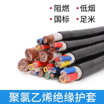 国超电缆 ZR-RVVZ/VVR-0.6/1KV-1*25阻燃铜芯软丝国标1芯电力电缆1米【现货】