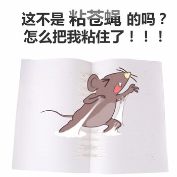 易静 苍蝇贴 粘蝇纸 粘苍蝇灭苍蝇药胶 灭蝇纸 捕蝇器 粘蝇板 100张装