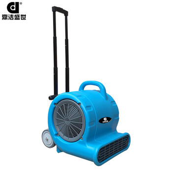 鼎洁盛世 DJ25L商用吹干机