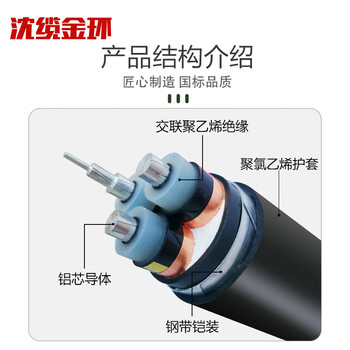沈缆金环 ZR-YJLV22-8.7/15KV-3*95mm² 国标铝芯阻燃铠装高压电力电缆 1米