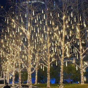 挂在树上的彩灯挂在树上的装饰灯春节灯饰挂件led流星雨树挂彩灯户外