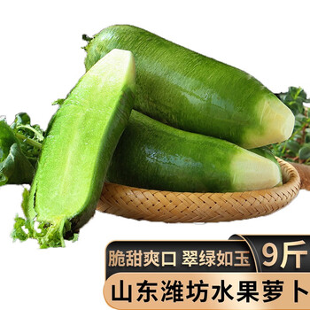 甜脆不辣正宗水果萝卜山东潍坊沙窝萝卜生吃寿光特产甜脆青罗卜新鲜