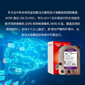 HIKVISION海康威视监控硬盘4TB 西部数据紫盘机械硬盘安防视频录像机监控专用5400转64MB SATA6Gb/秒