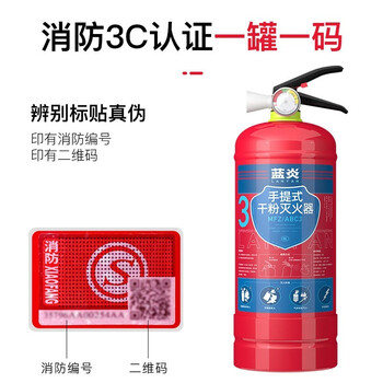 蓝炎 灭火器 干粉灭火器家商两用消防器材 3kg干粉灭火器2具+灭火器箱组合（赠检查卡）