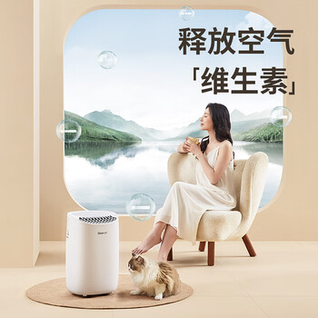 德业（Deye）除湿机/抽湿机 除湿量12升/天 家用轻音地下室干衣机除湿器 母婴萌宠 银离子抗菌DYD-B12A3